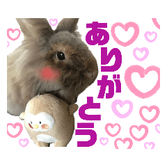 shizu_20210308162633