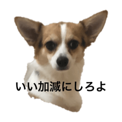 chibi_20210308172529