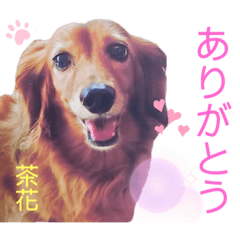 Hikari_20210308181836