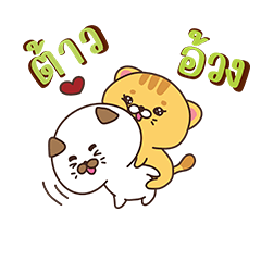 TangTang & MongMong :Sweet cats.