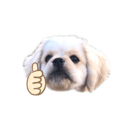 hikari_20210308190129