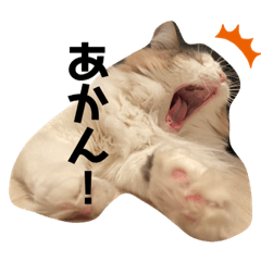 poalo_20210308223044