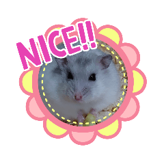 AKIKO_20210308225820