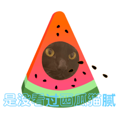 Mimi_20210308170938