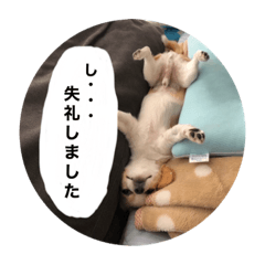 chie_20210309102246