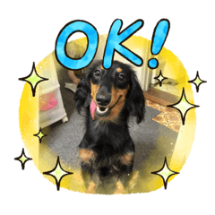 minorin_20210308220854