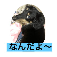 chie_20210308230517