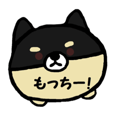 mocchiri