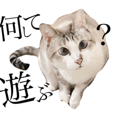 PANDA_20210309002836