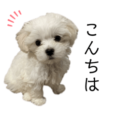 kaho_20210309095216