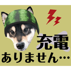 kohakoha.rururururu_20210309105804