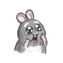 Chonky the Chinchilla