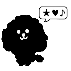 toy poodle black (greeting)