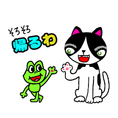 cat  and frog