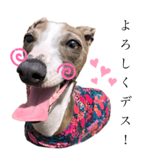 mizuki_20210309120837