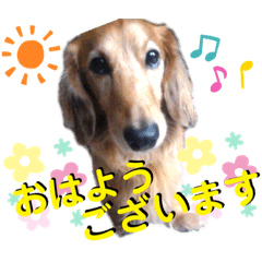 Cherry_20210309124631