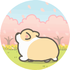 spring corgi animation stickers