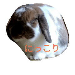 Sticker of a cute rabbit  chacha
