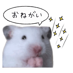 ダルメシアンハムスター Line スタンプ Line Store ダルメシアンハムスター Line スタンプ Line Store