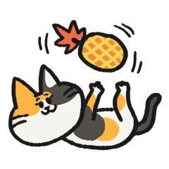 Calico cat and fruit pineapple