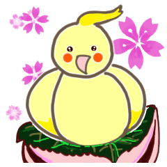 Spring Pi-chan