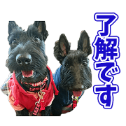 My JOU'S Sticker