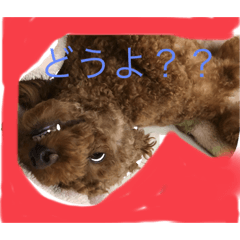 risa_20210309181400