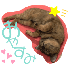 saiko_20210309231725