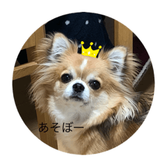 YUTO_2021
