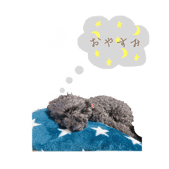 HIKARI_20210309232320