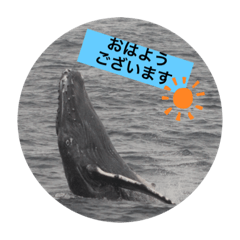 miki_20210310110306