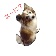 momodayo