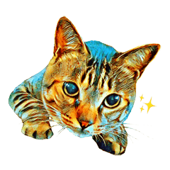Japanese cat sticker "KIJITORA"