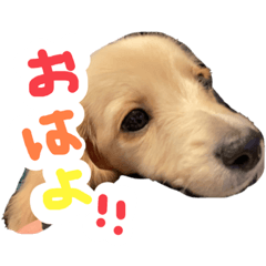 ayumi_20210310150056