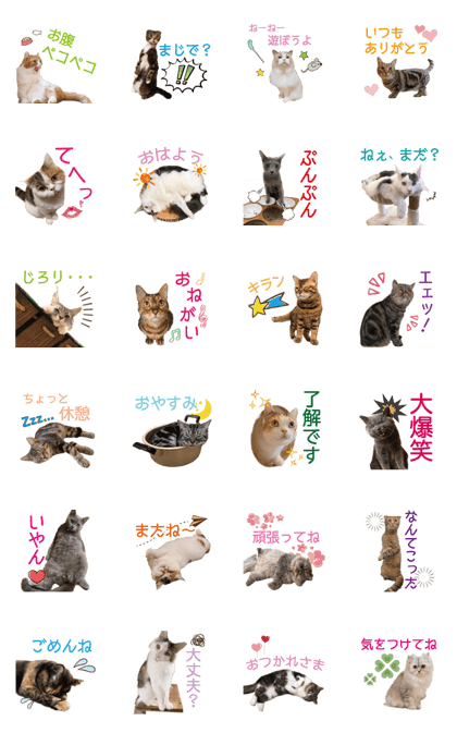 スタンプ無料get 猫カフェにあにゃあ全猫ちゃんスタンプ Stampick スタンピック