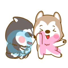 Coffee and Latte Husky ver2