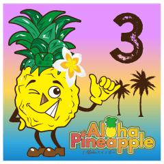 Mr.Aloha Pineapple3 HAWAIIAN