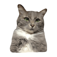 Nekosun Stamp