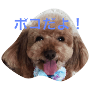 dooooog!