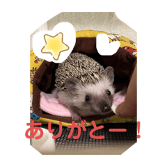 blacky_20210310225811