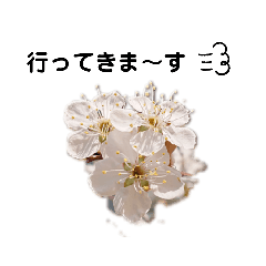 hana_20210311013605