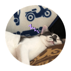 Ringo_20210310212920