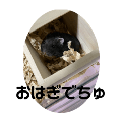 ayumi_20210310193559