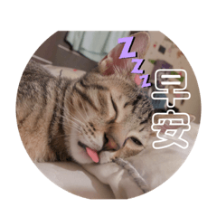 小寶可愛の瞬間