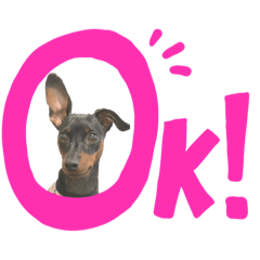 saori_20210311075614