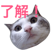 Konatu