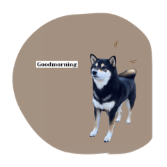 NANAMi_20210311011151