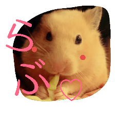 Feelings of hamster