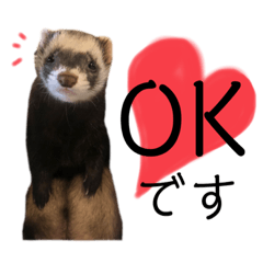 mizuki_20210311114409