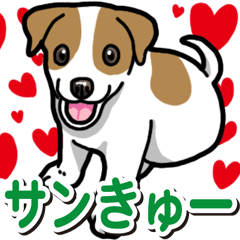 Wanko-Biyori JRT-Jack Russell terrier 4